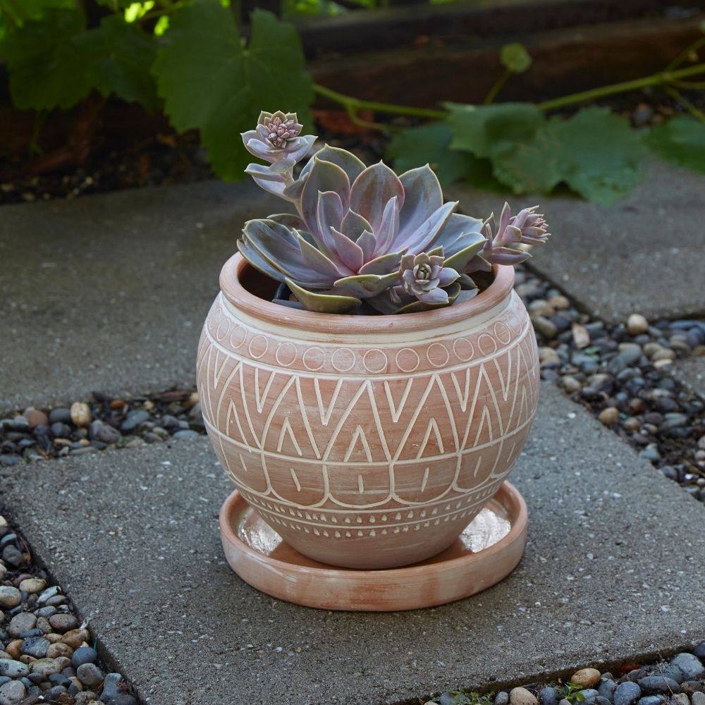 Bangladesh Small Rustic Terracotta Belly Pot with Saucer popular