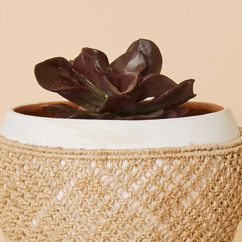 Bangladesh Small Macrame Terracotta Pot