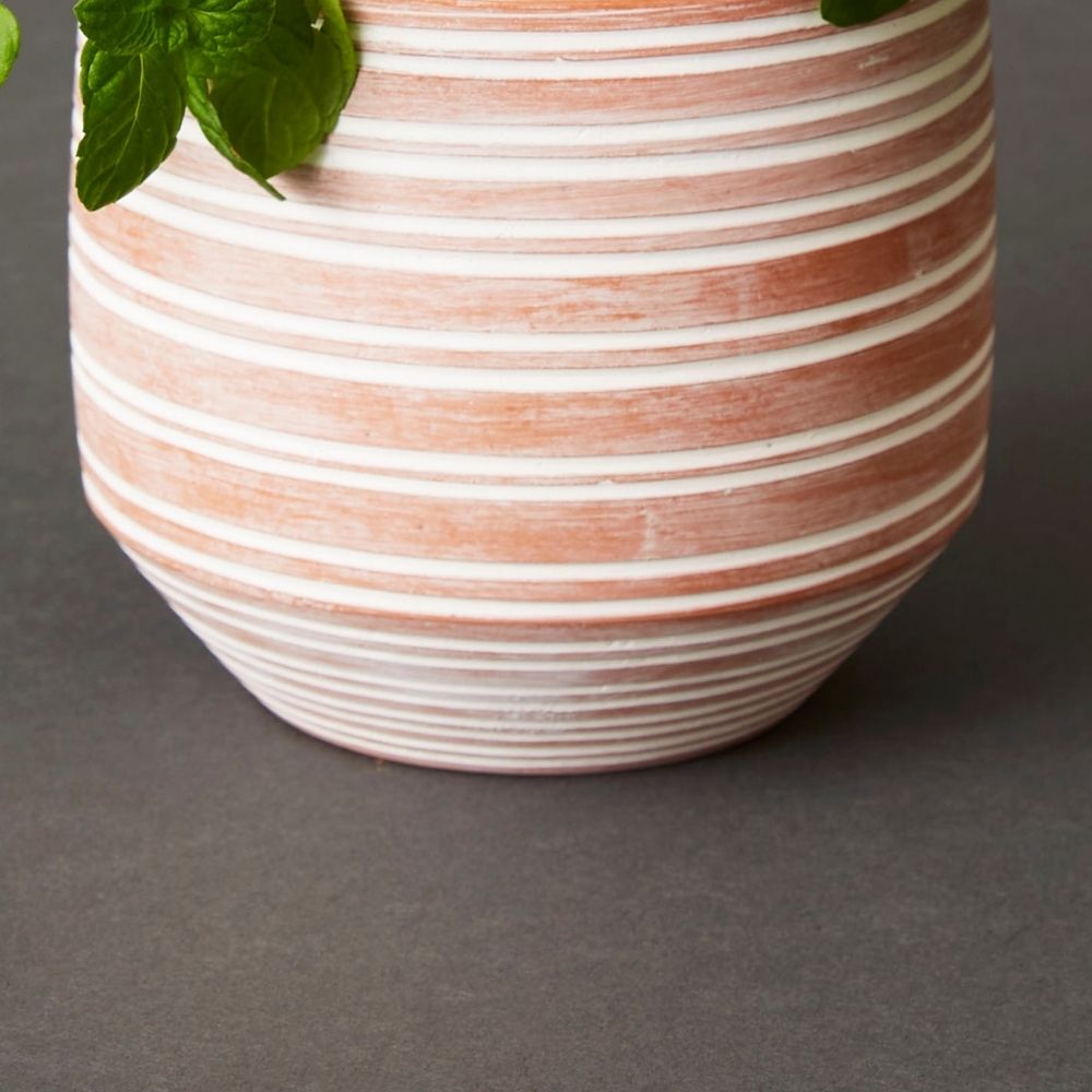 Bangladesh Small Rustic Striped Succulent Terracotta Pot