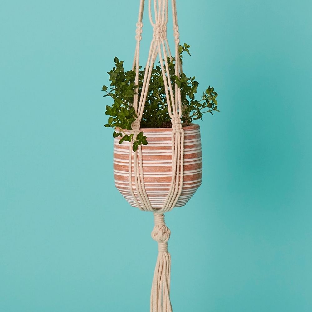 Bangladesh Small Rustic store Striped Terracotta Pot and Macrame Hanging Planter