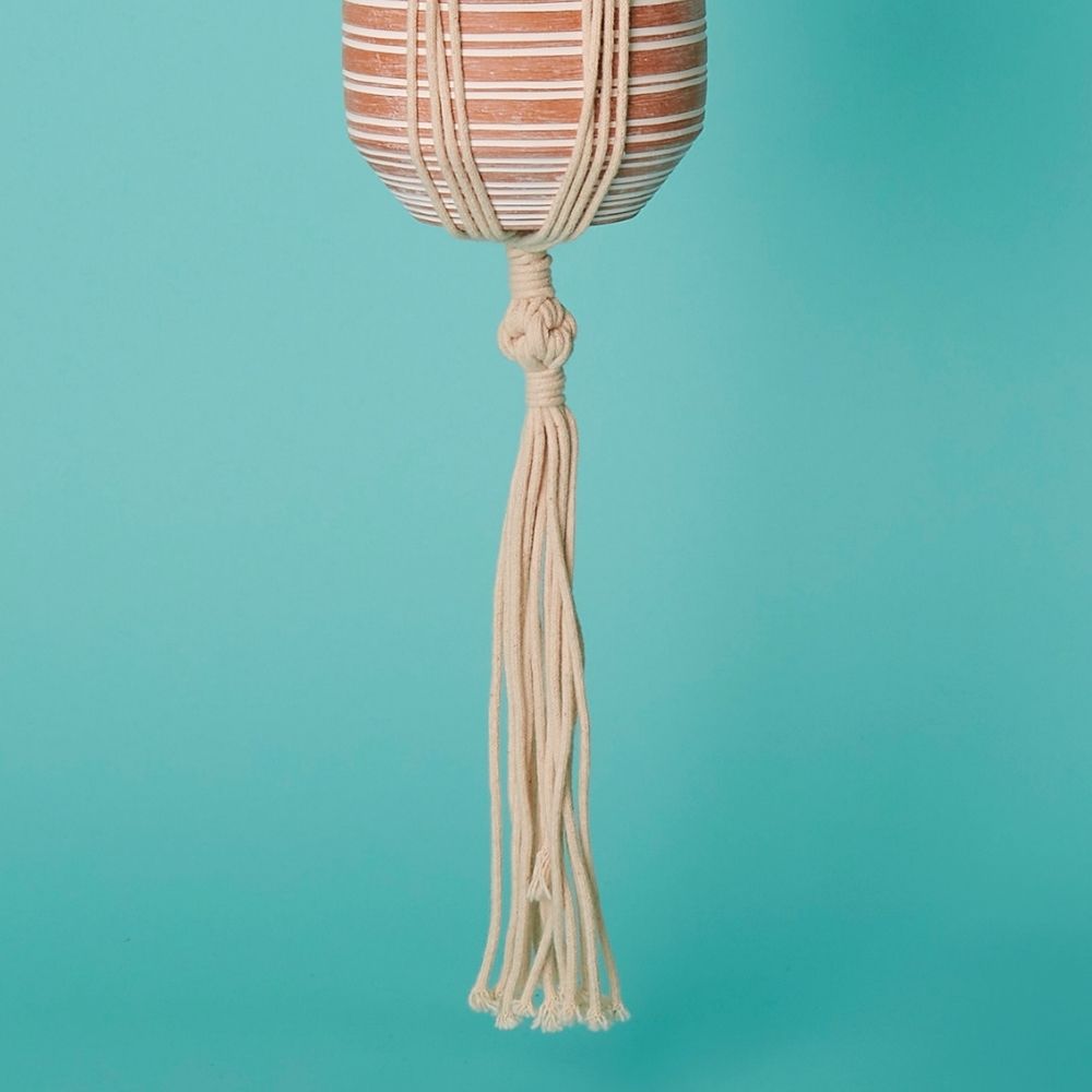 Bangladesh Small Rustic Striped Succulent Terracotta Pot and Macrame Hanging Planter