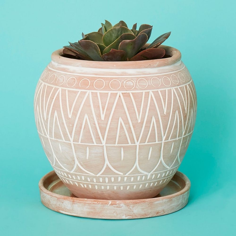 Bangladesh Small Rustic Terracotta Belly Pot with Saucer
