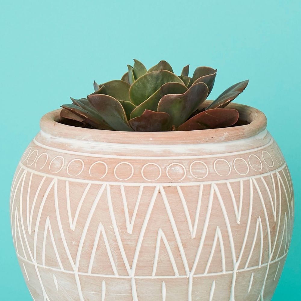 Bangladesh Small Rustic Terracotta Belly Pot with Saucer