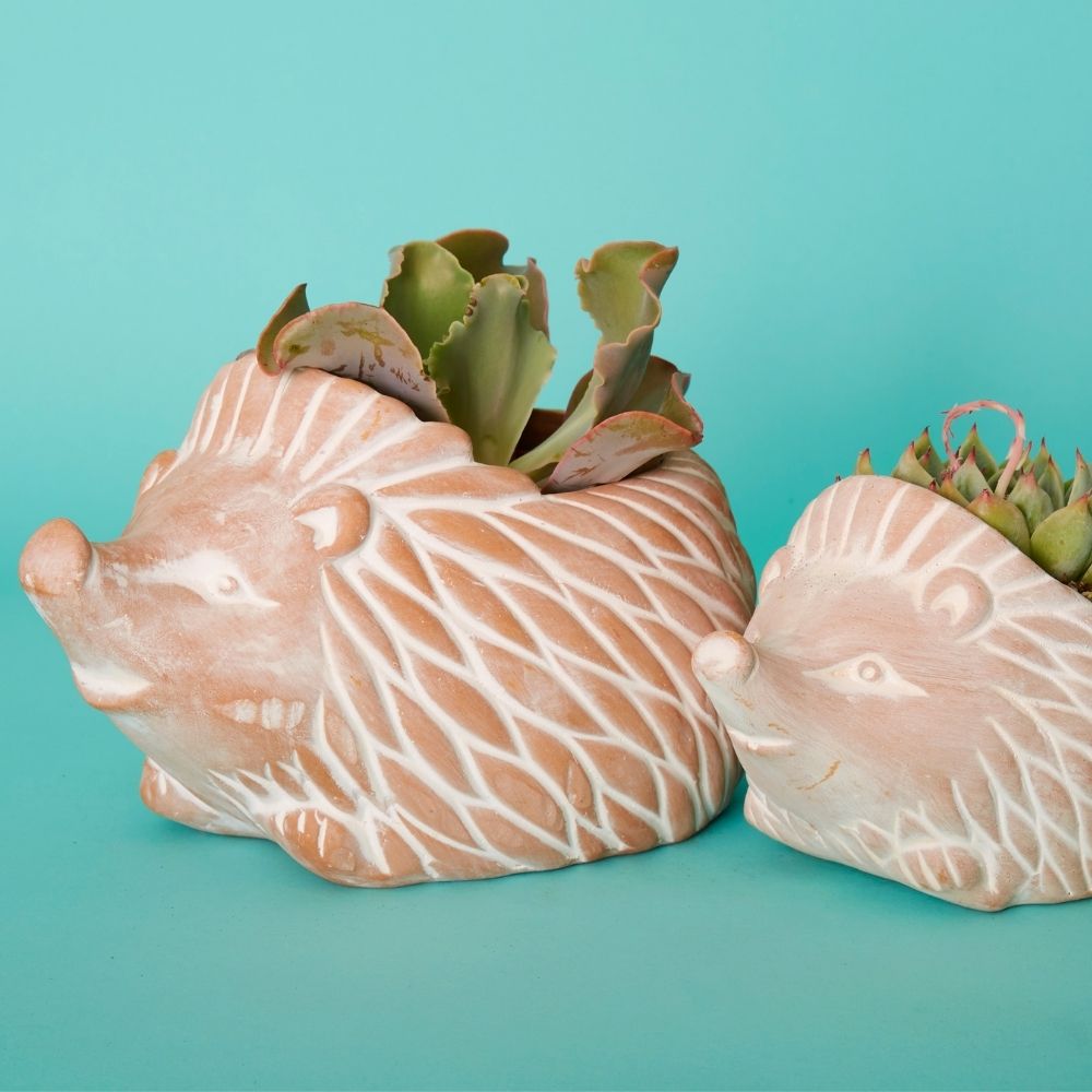 Bangladesh Rustic Terracotta Succulent Bird Planter Set