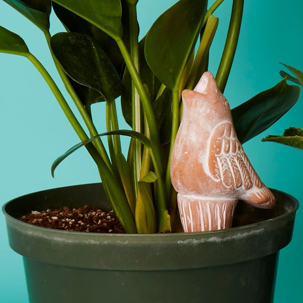 Bangladesh Rustic Snail and Squirrel Terracotta Watering Stake Set
