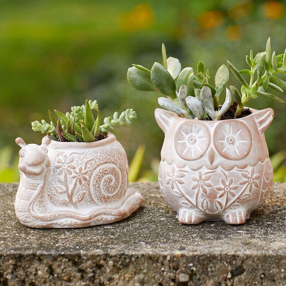 Bangladesh Small Rustic Floral Succulent Terracotta Snail Planter