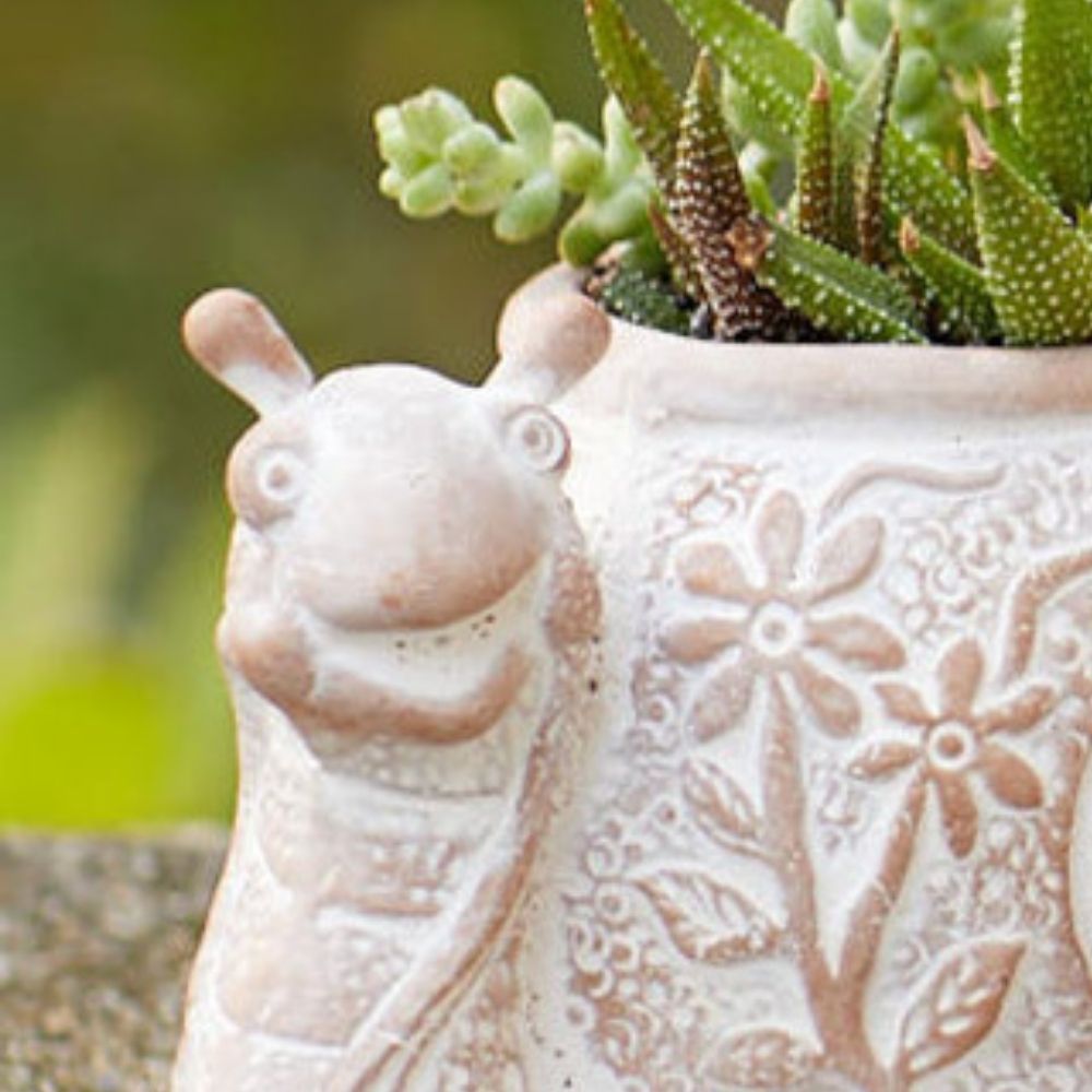 Bangladesh Small Rustic Floral Succulent Terracotta Hedgehog Planter