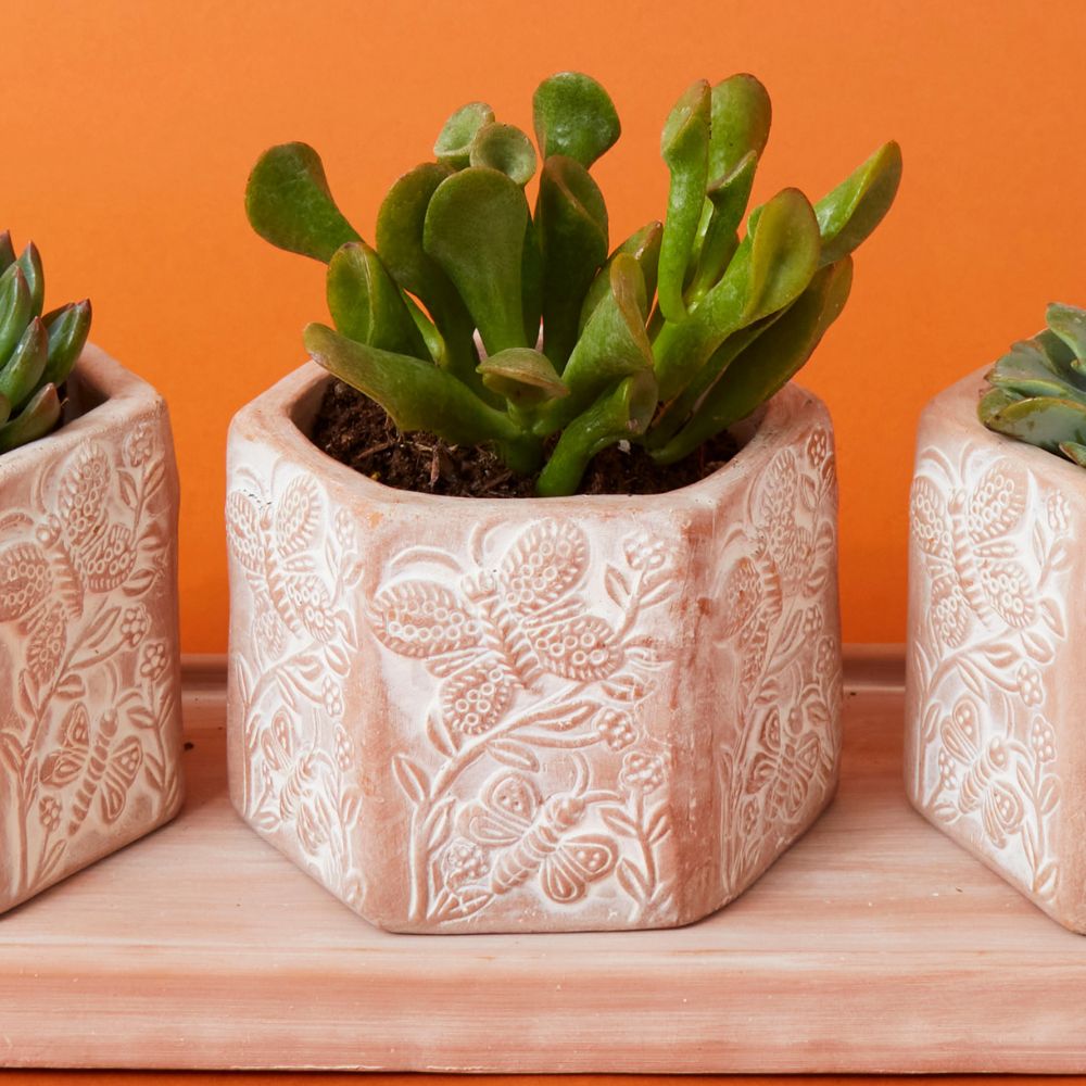 Bangladesh Small Rustic Butterfly Hexagonal Terracotta Pot Set with Tray