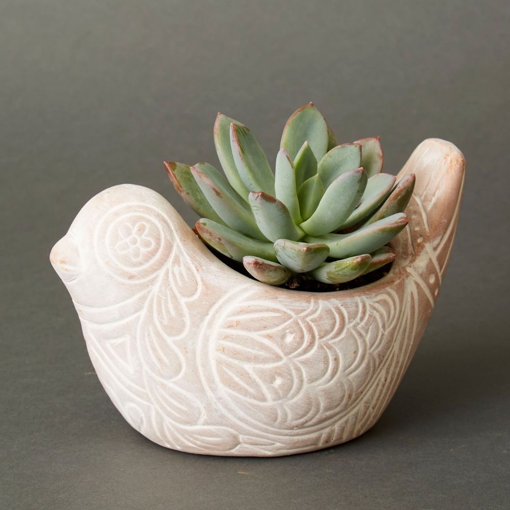 Small Terracotta Bird Pot