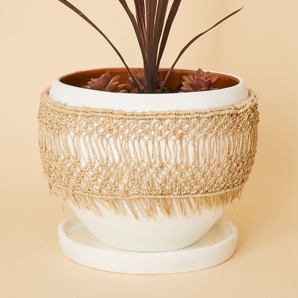 Large Macrame Wrap Terracotta Pot w Plants