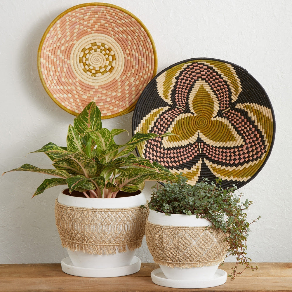 Macrame Wrap Terracotta Pot Set w Plants