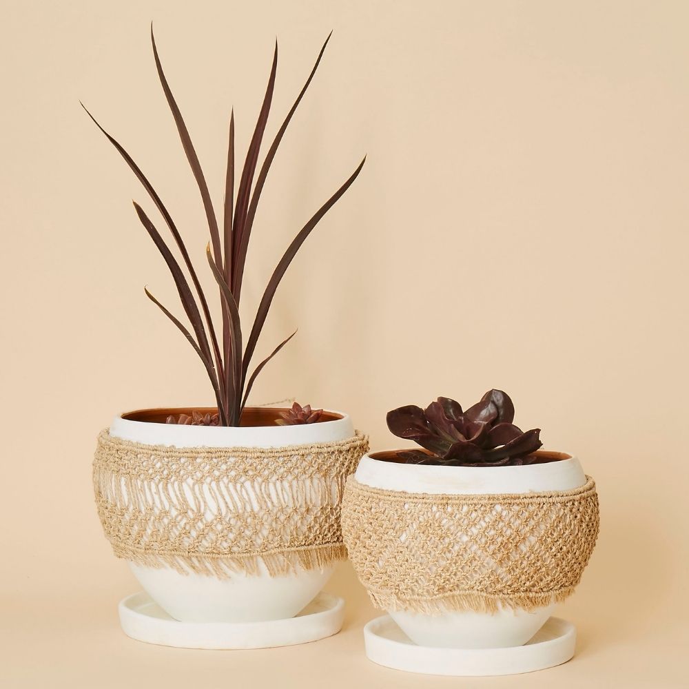 Macrame Wrap Terracotta Pot Set w Plants