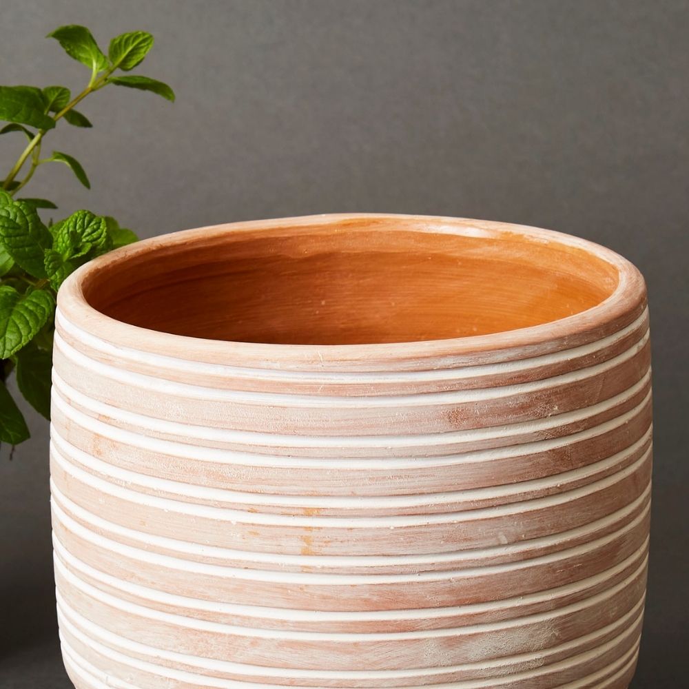 6.5" Small Striped Terracotta Pot w Plants