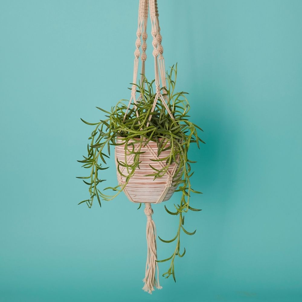 7.5" Terracotta Macrame Hanging Pot w Plants