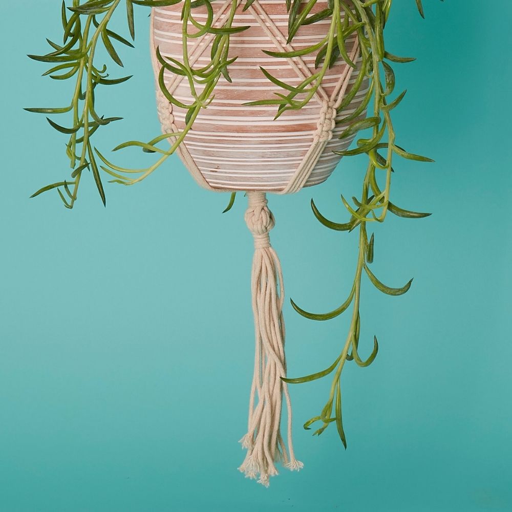 7.5" Terracotta Macrame Hanging Pot w Plants