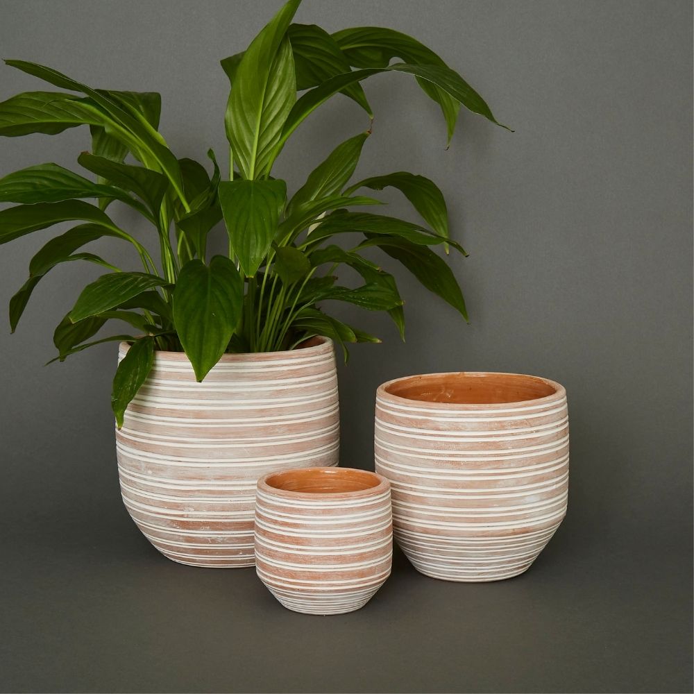 Bangladesh Set of Three Rustic Striped Succulent Terracotta Pots