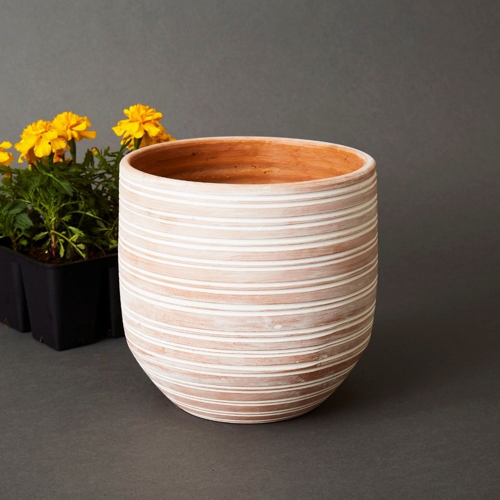 Bangladesh Set of Three Rustic Striped Succulent Terracotta Pots