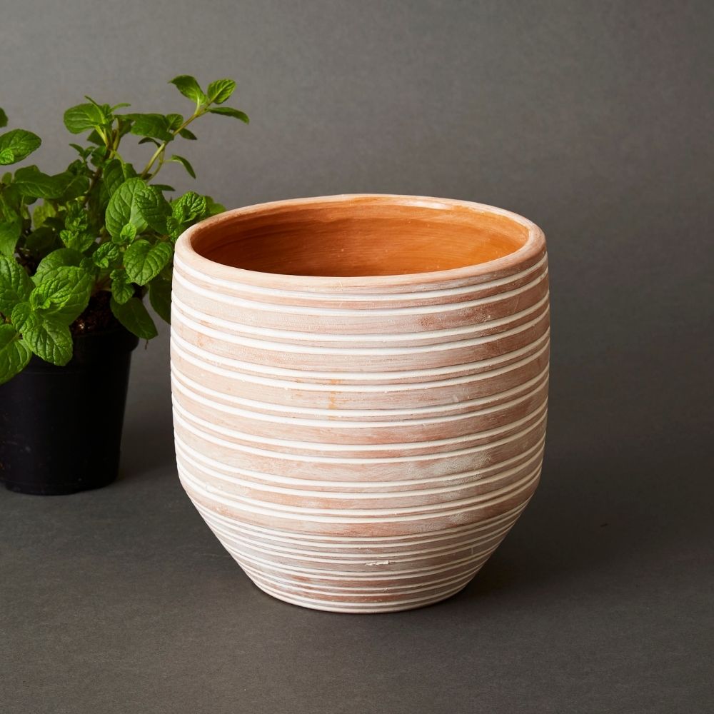 Bangladesh Set of Three Rustic Striped Succulent Terracotta Pots