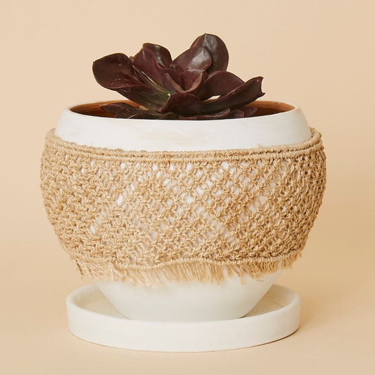 Bangladesh Small Macrame Terracotta Pot