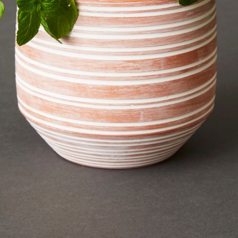 Bangladesh Small Rustic Striped Succulent  Terracotta Pot