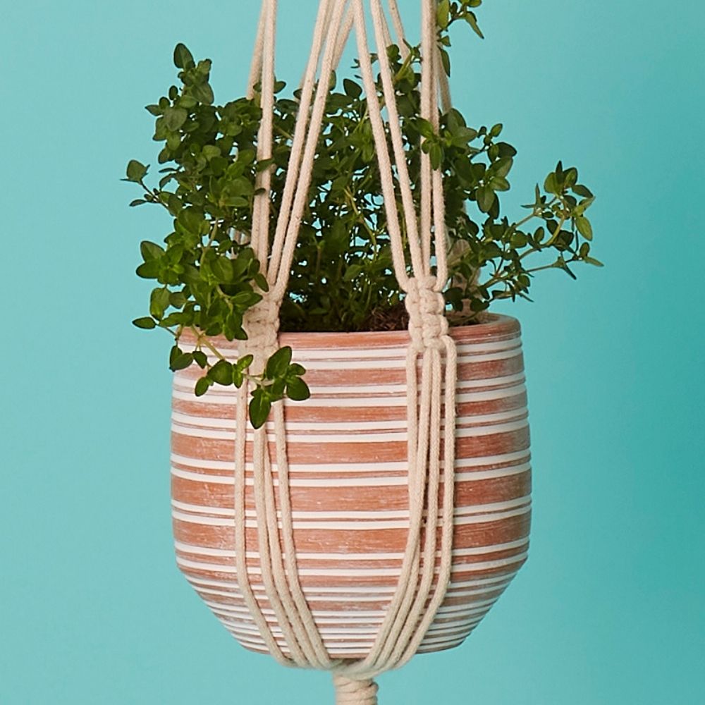 Bangladesh Small Rustic Striped Terracotta Pot and Macrame Hanging Planter retailer