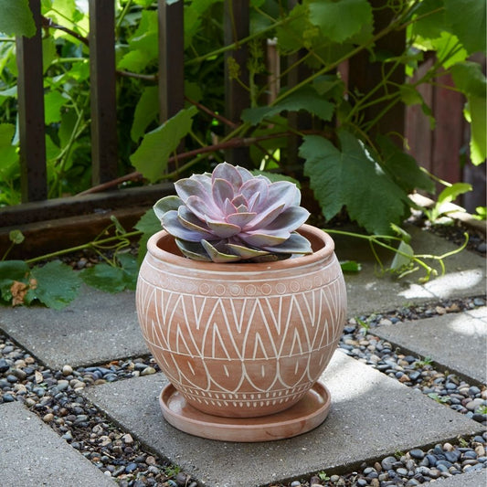 Bangladesh Small Rustic Terracotta Belly Pot with Saucer