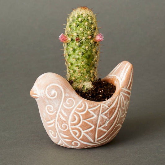 Mini Terracotta Bird Pot w Plants