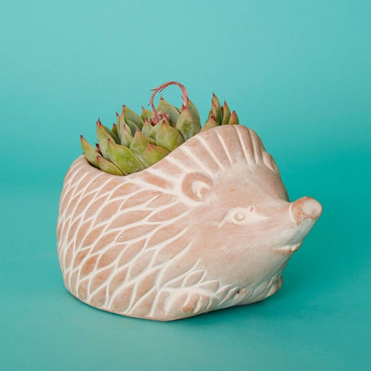 Bangladesh Small Rustic Succulent  Terracotta Hedgehog Planter