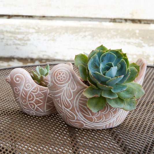 Bangladesh Rustic Terracotta Succulent Bird Planter Set