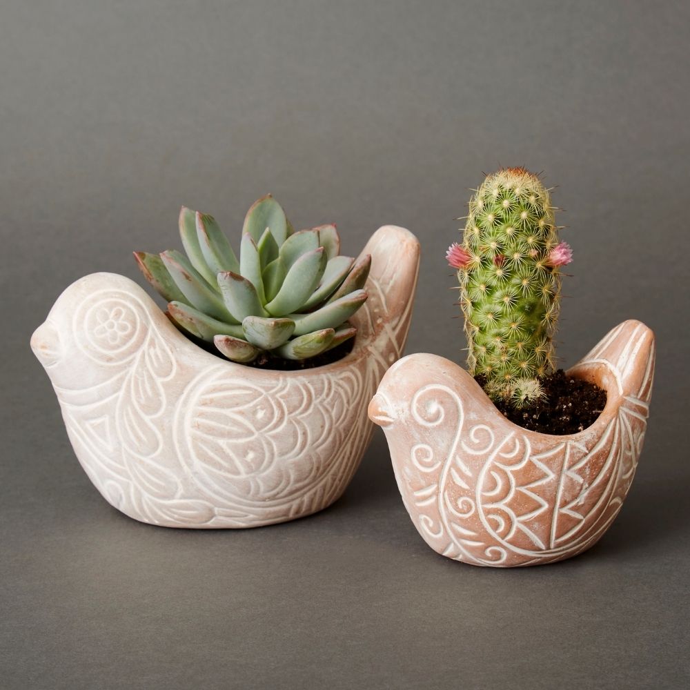 Bangladesh Rustic Terracotta Succulent Bird Planter Set