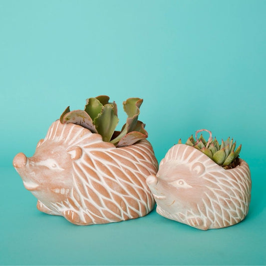 Bangladesh Rustic Terracotta Hedgehog Succulent Planter Set