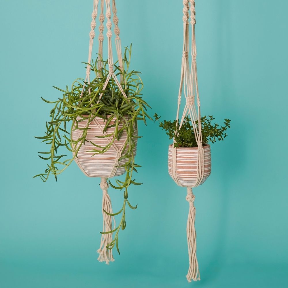 Striped Terracotta Macrame Hanging Pot Set w Plants