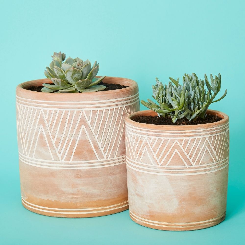 Cylindrical Terracotta Pot Set w Plants