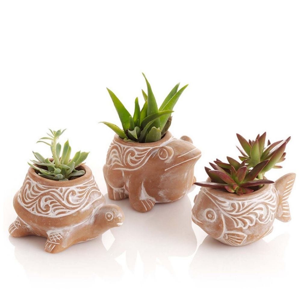 Bangladesh Mini Rustic Succulent Terracotta Fish Frog Turtle Planter Set