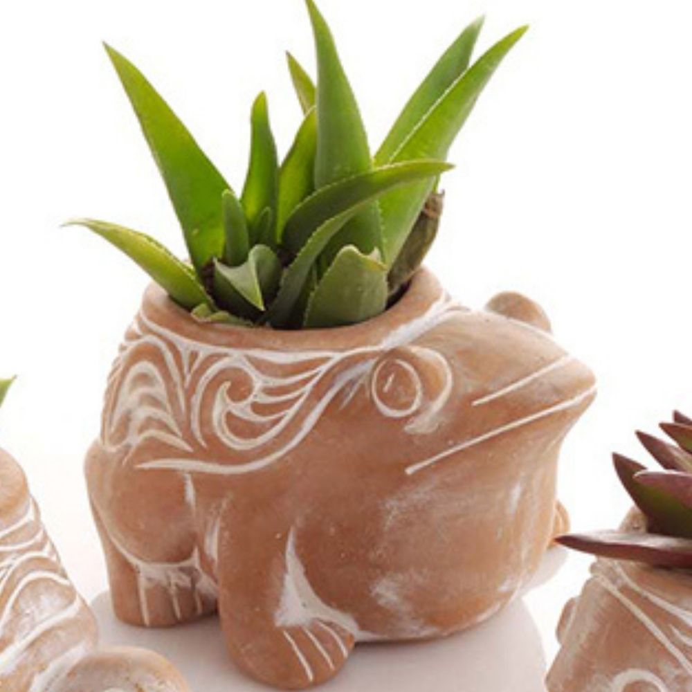 Bangladesh Mini Rustic Succulent Terracotta Fish Frog Turtle Planter Set