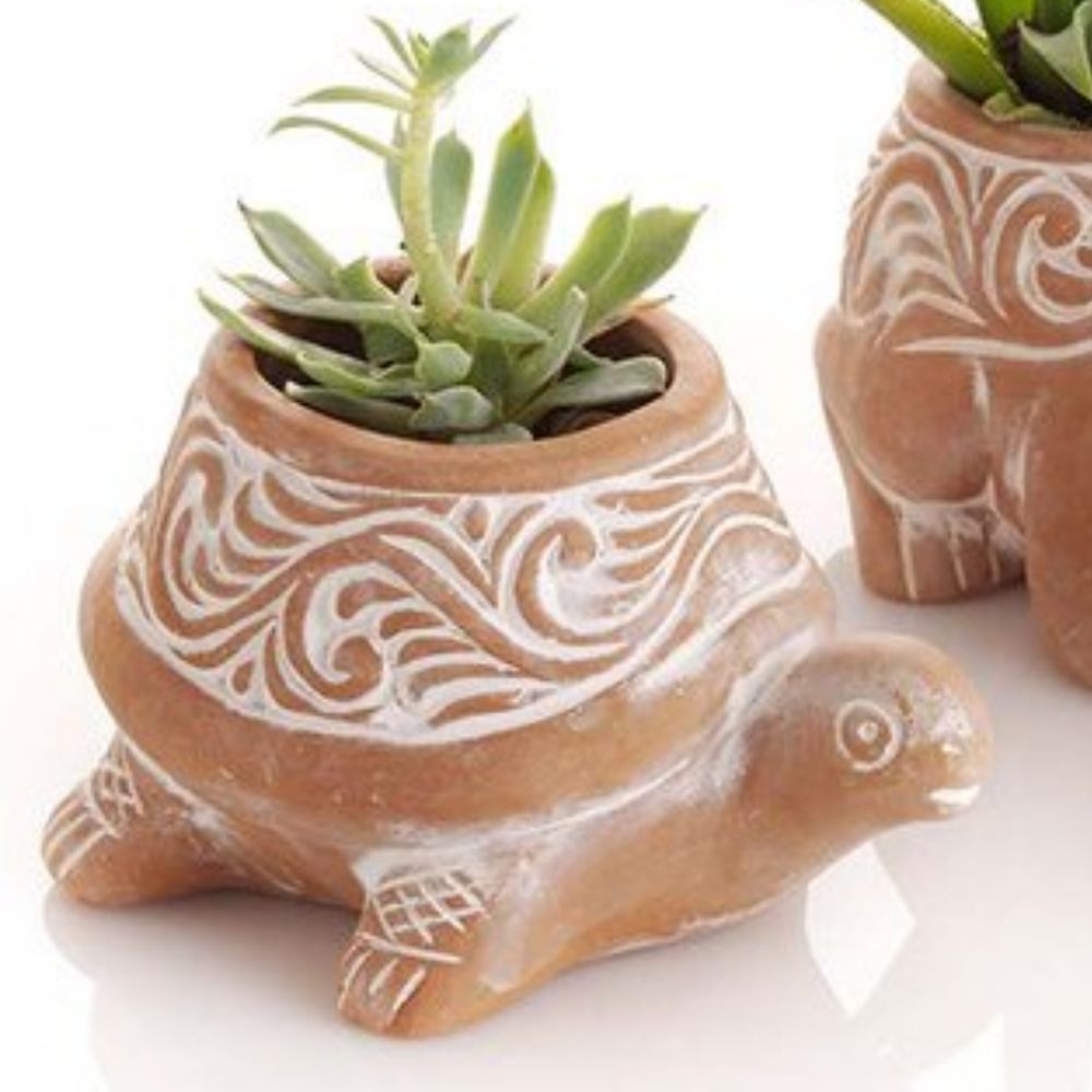 Bangladesh Mini Rustic Succulent Terracotta Fish Frog Turtle Planter Set