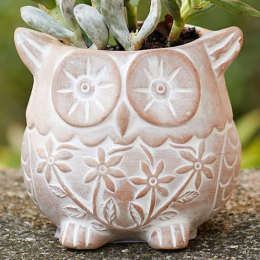 Bangladesh Small Rustic Floral Succulent Terracotta Owl Planter