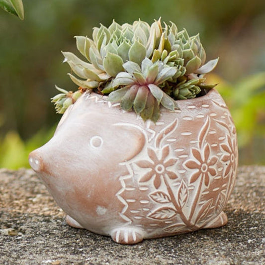 Bangladesh Small Rustic Floral Succulent Terracotta Hedgehog Planter