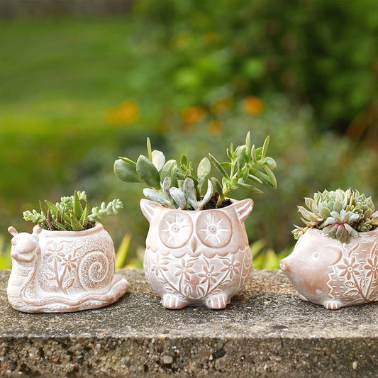 Small Floral Terracotta Owl Hedgehog Snail Pot Set w Plants