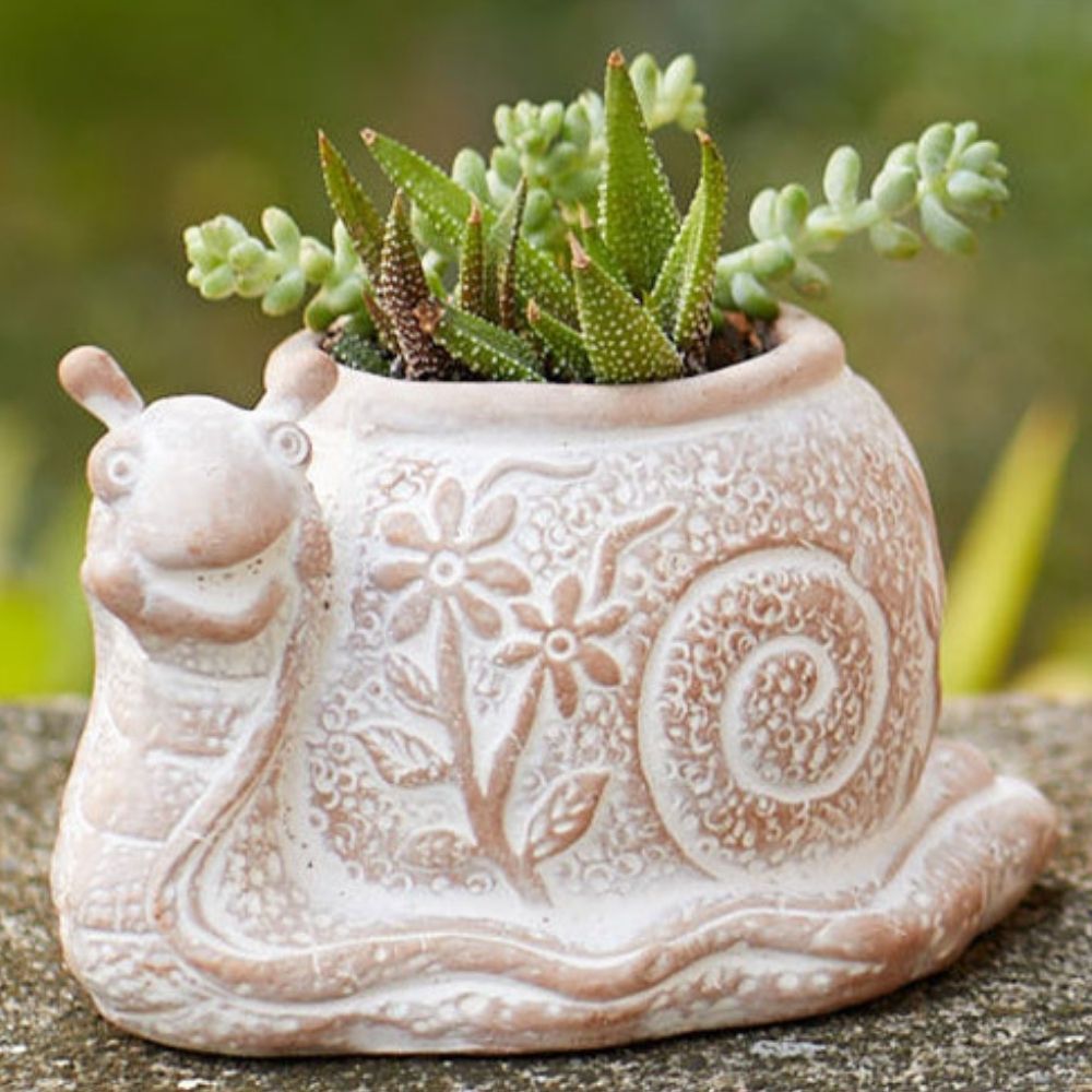 Bangladesh Small Rustic Floral Succulent Terracotta Snail Planter